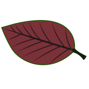 Priekšroka vietējo ražotāju izejvielām